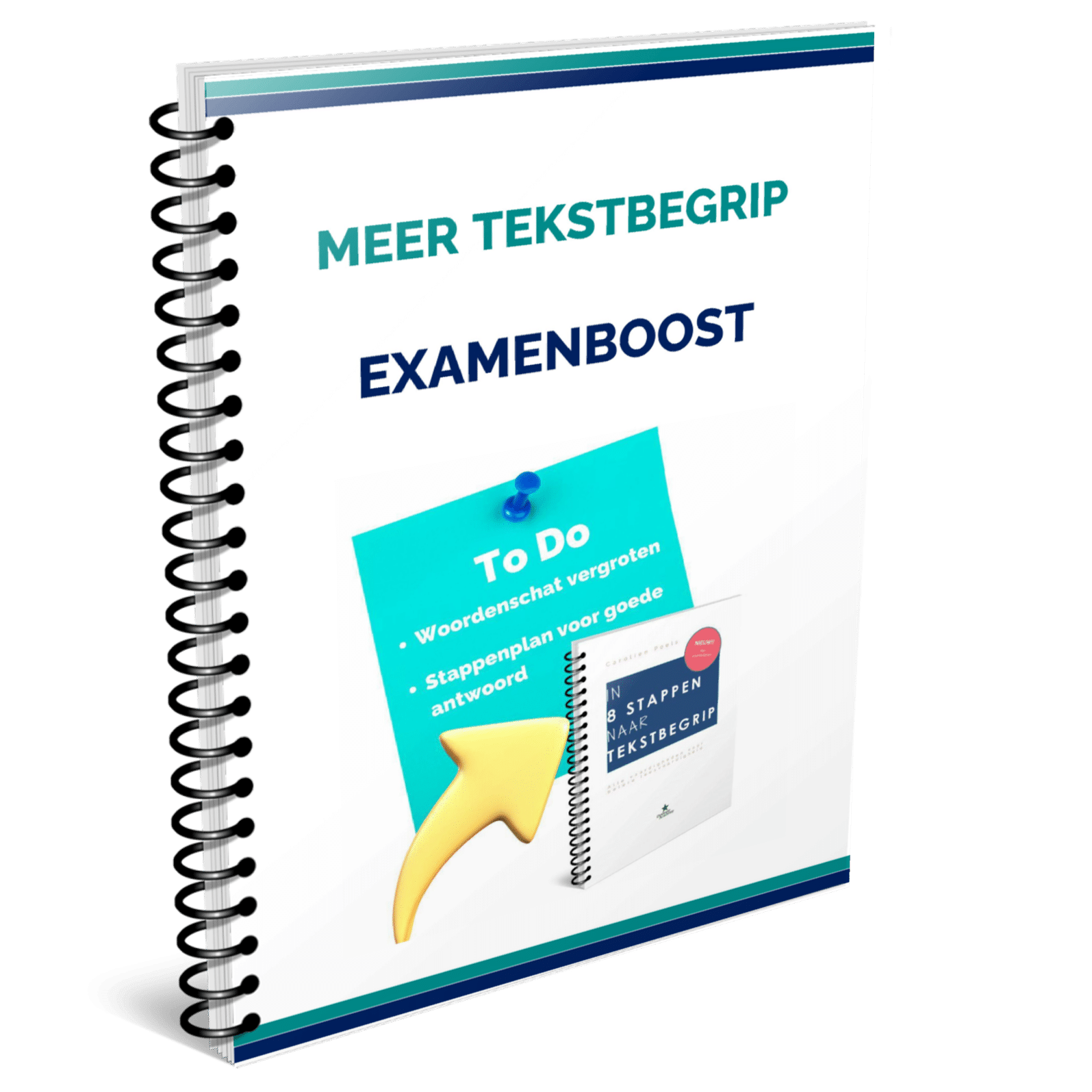 Tekstbegrip Engels dyslexie werkboek